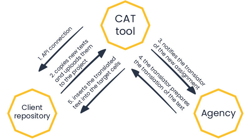 cat-tools-en-infographic